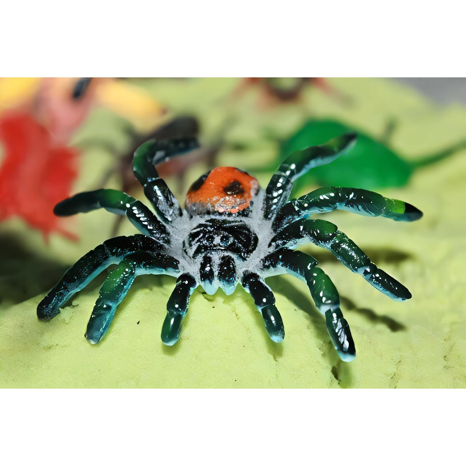 Realistic Insect Figures 16-Piece Bug Science Set