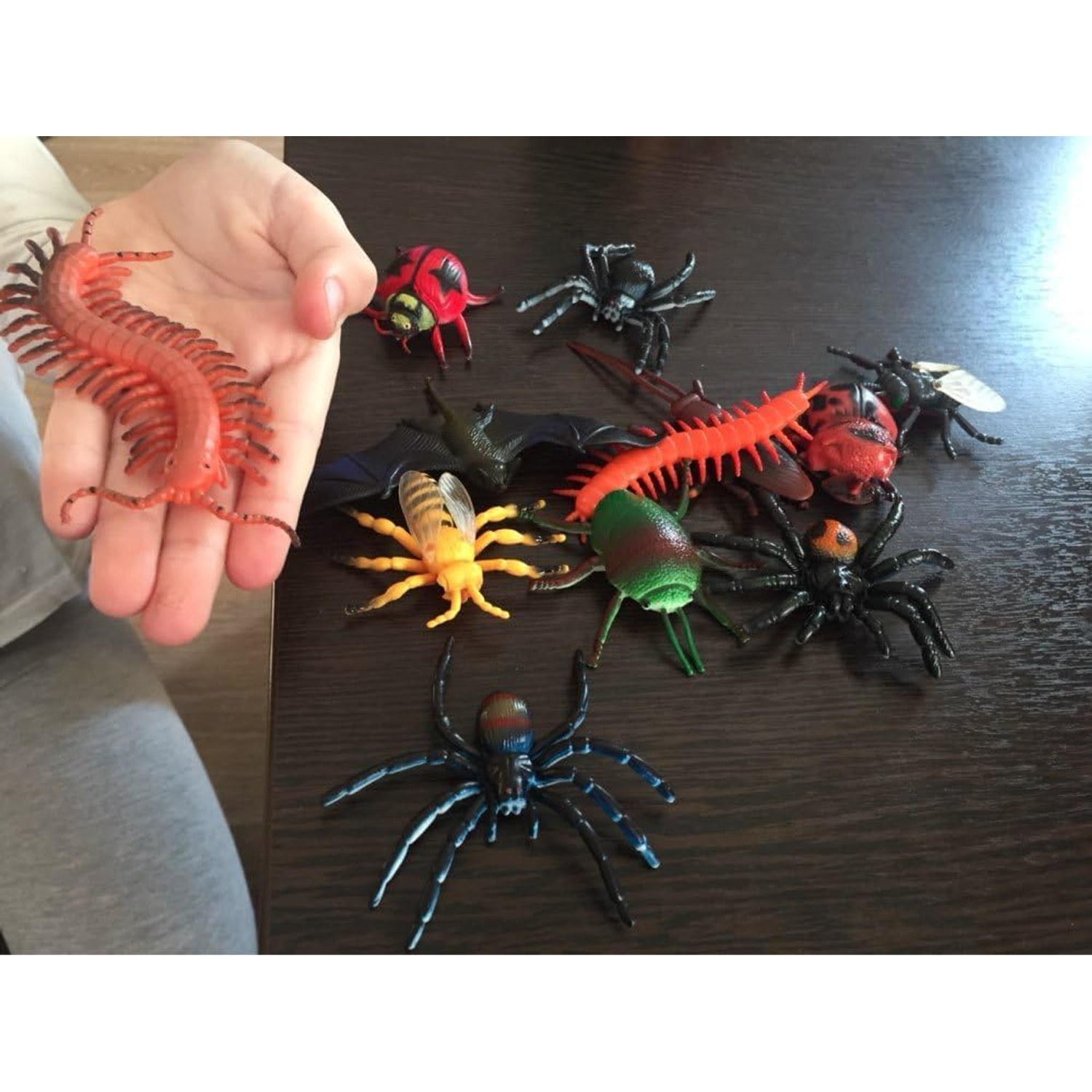 Realistic Insect Figures 16-Piece Bug Science Set