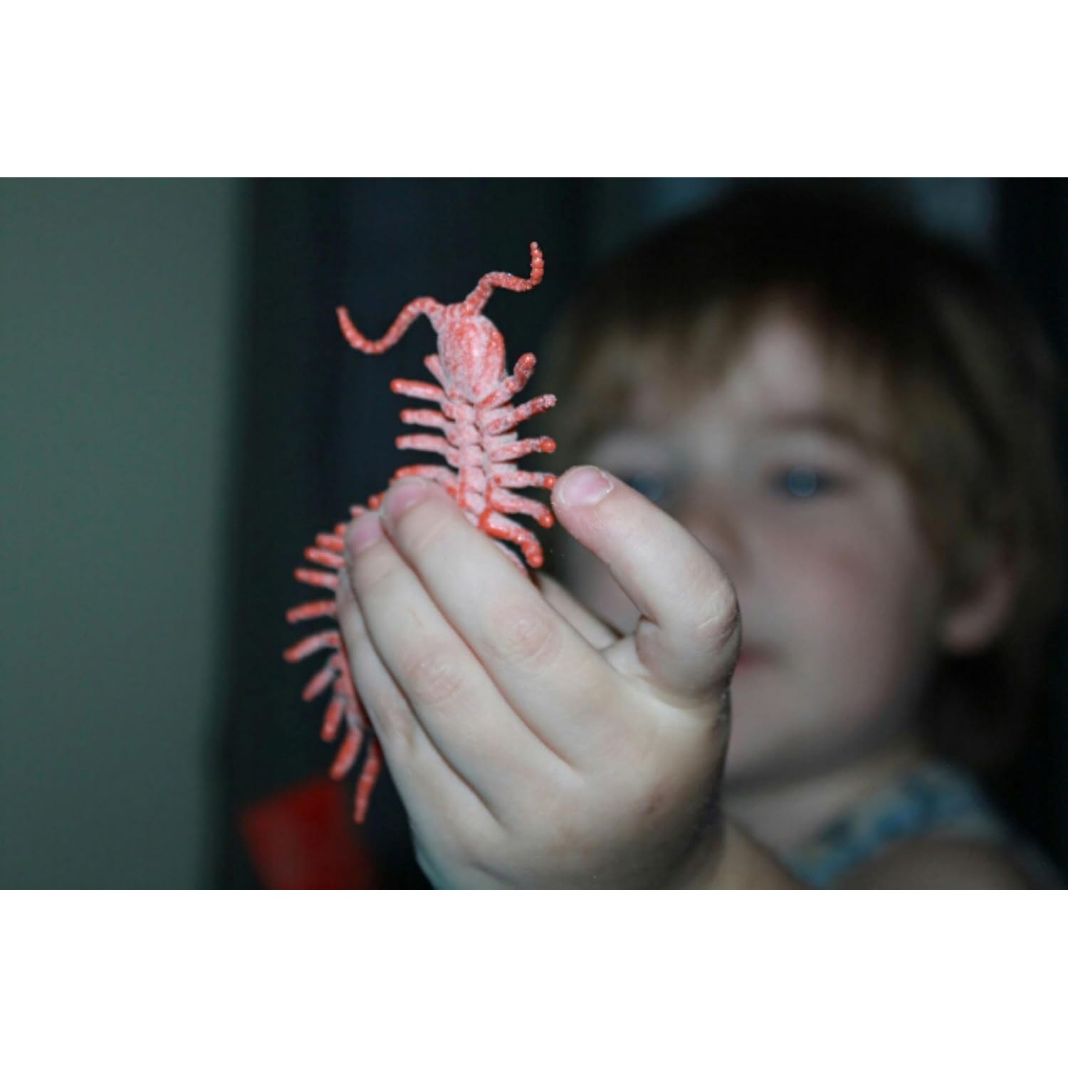 Realistic Insect Figures 16-Piece Bug Science Set: image 7