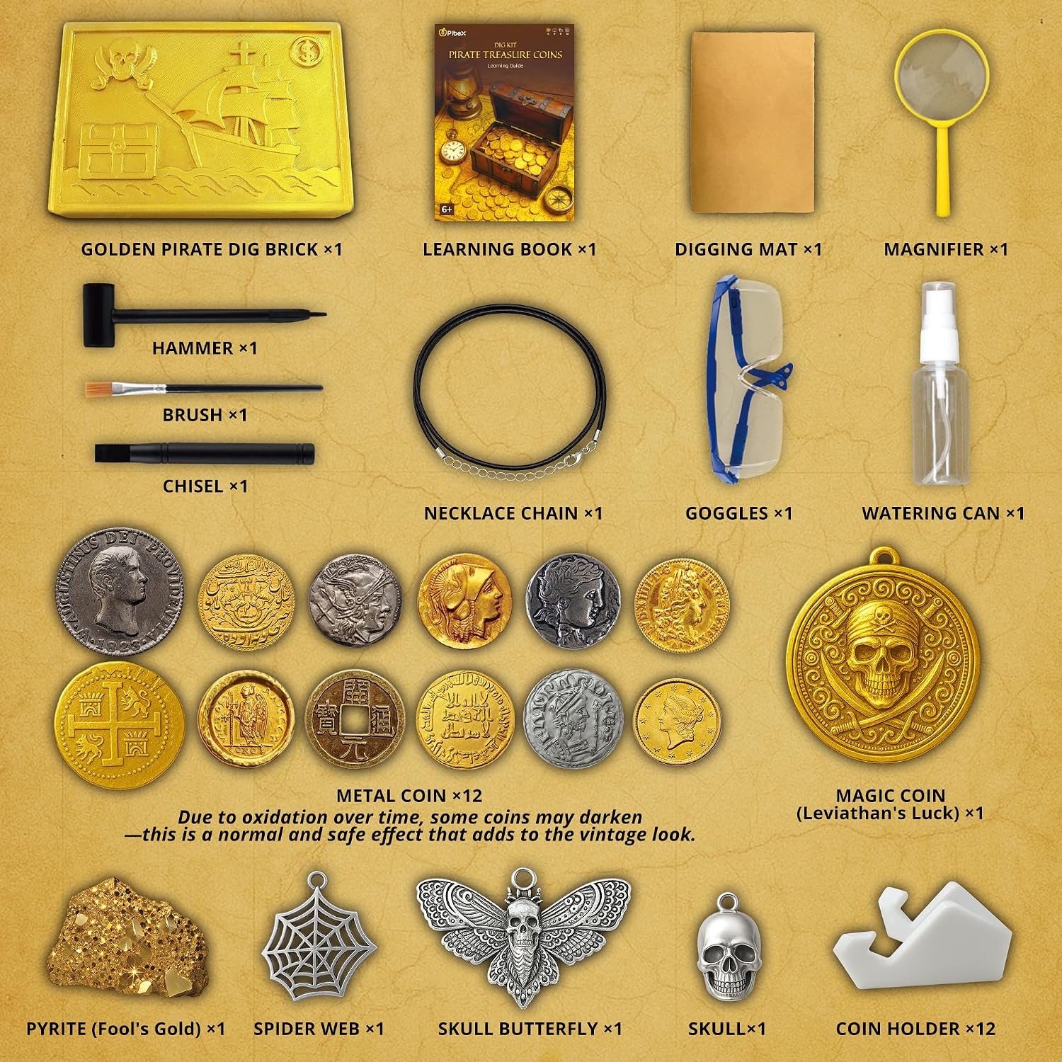 Pirate Treasure Dig Kit with 12 Metal Coin Replicas: image 8